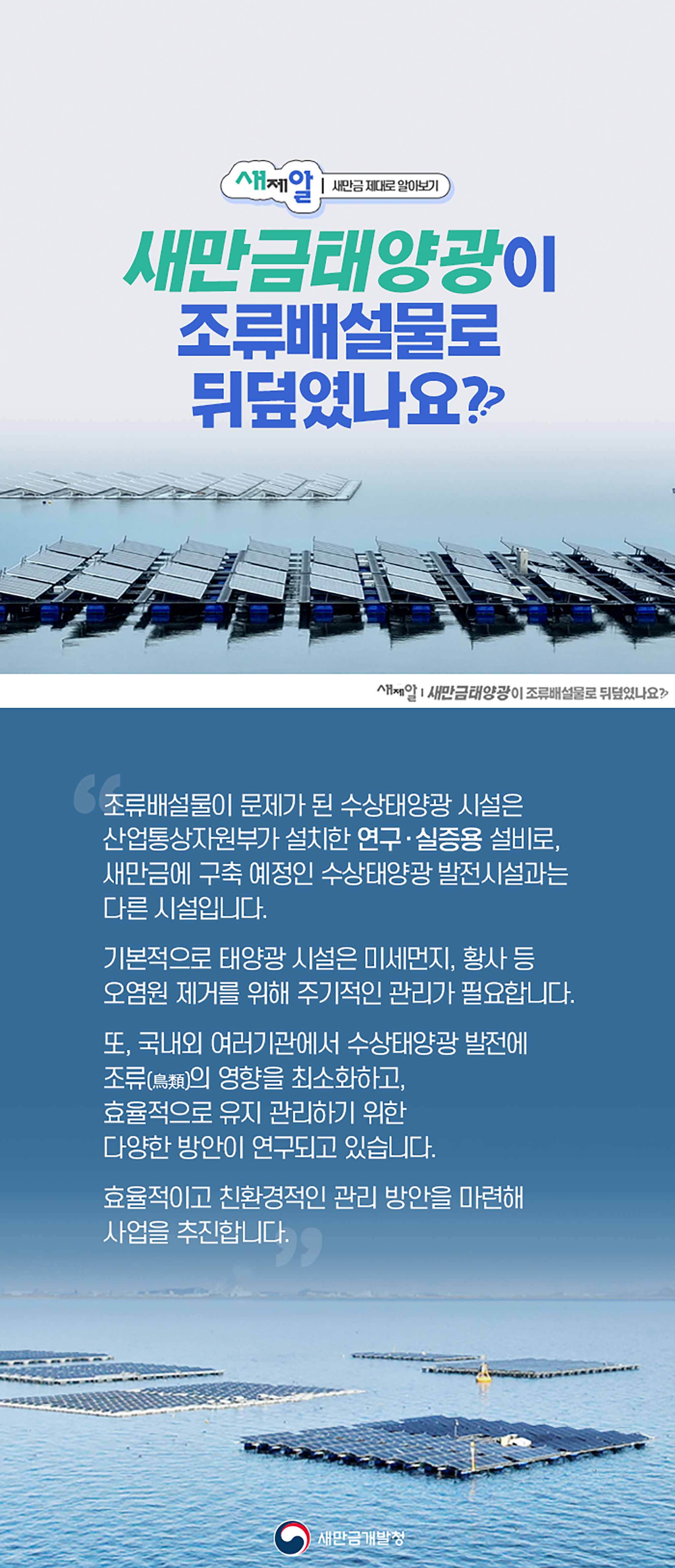 [새제알] 새만금태양광이 조류배설물로 뒤덮였나요??