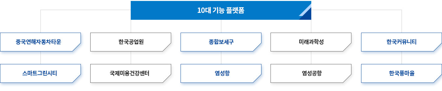 10대 기능 플랫폼