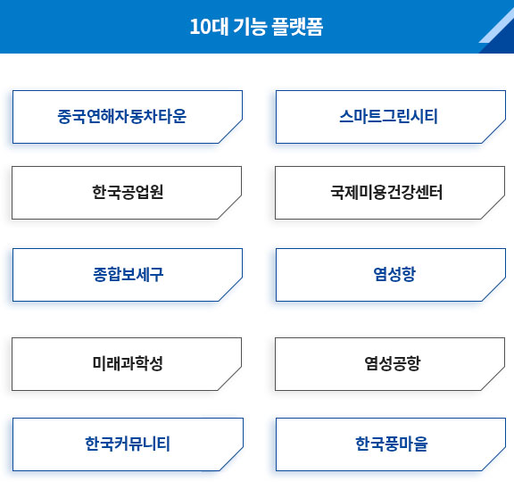 10대 기능 플랫폼