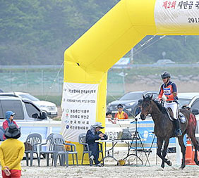 새만금 지구력 전국 승마대회