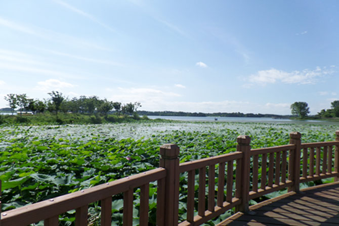 Mangyeong Neungje