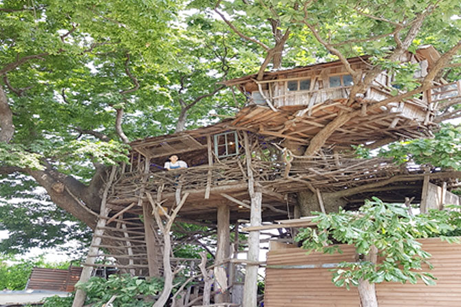 Masayuki Mizuno Tree House