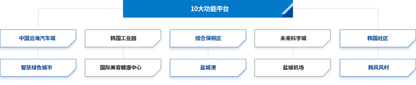 10대 기능 플랫폼