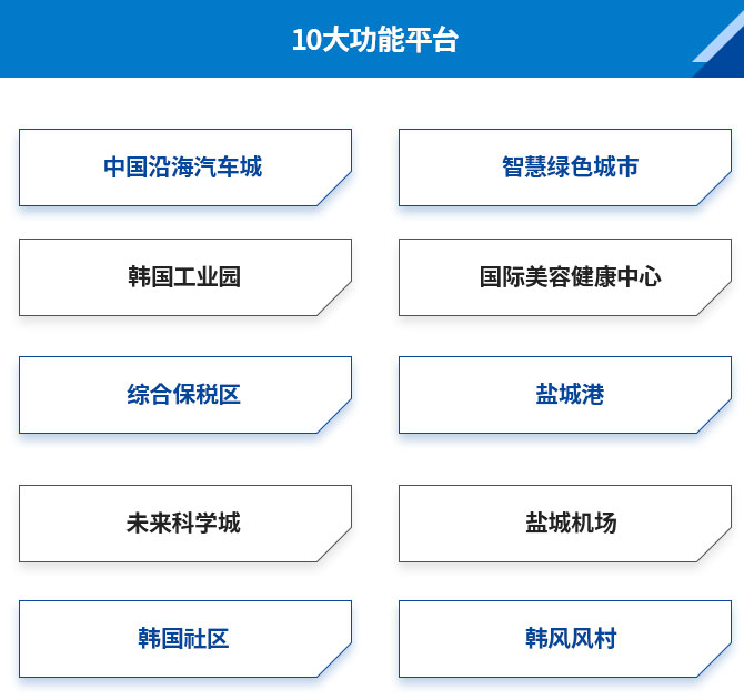 10대 기능 플랫폼